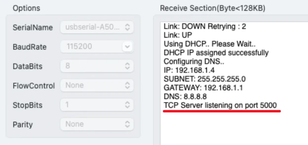 Image shows the TCP server is UP and running on STM32 using W5500 ethernet module.