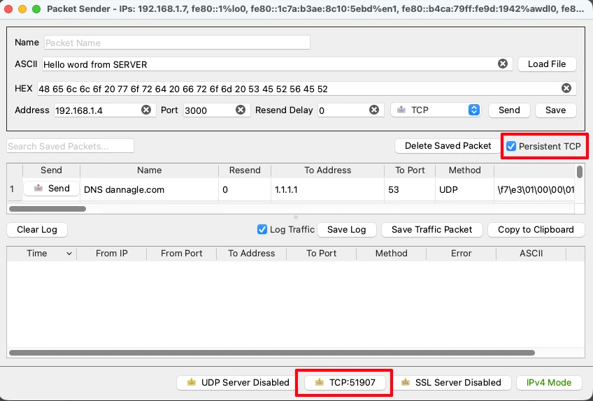 How to create TCP server on packet sender application.