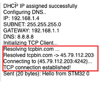 Image shows the DNS is resolved for the TCP server before the client tries to connect to it.