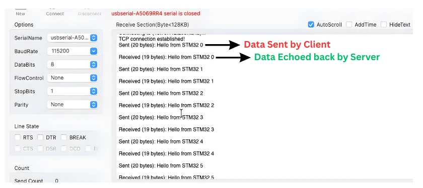 Image shows the STM32 client is communicating with the public TCP echo server.